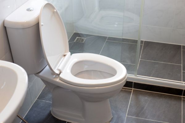 Cost of Toilet Replacement in Carson City